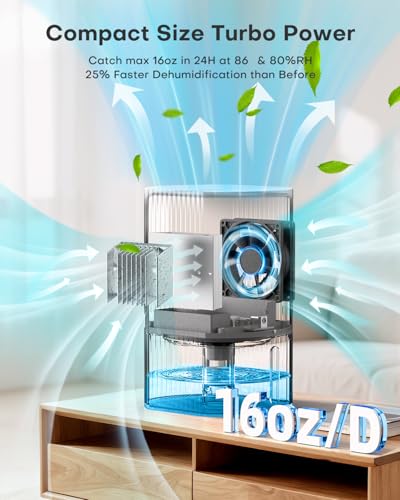 Small Dehumidifier with 35oz Tank - Quiet 25dB for Bedroom, Bathroom, Closet - Erizolt