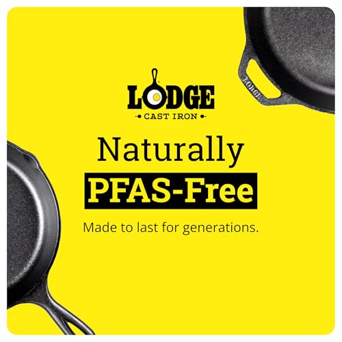 10-Inch Lodge Pre-Seasoned Carbon Steel Skillet with Long Handle
