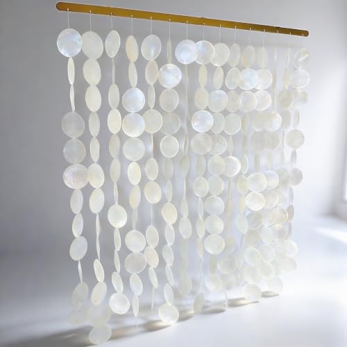 28L x 24W Inch Capiz Shell Wall Art Handmade Sea Shell Decor with Gold Rail