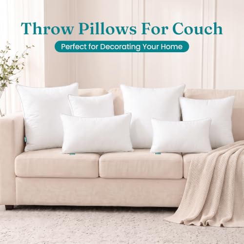 22x22 Inch Throw Pillow Inserts Set of 2 - Soft Decorative Couch Cushions - Variation of THIS listing 22×22 inch / 2