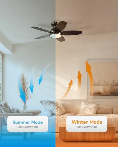 VONLUCE 36-Inch Ceiling Fan with Lights, Black - Reversible DC Motor, Remote Control