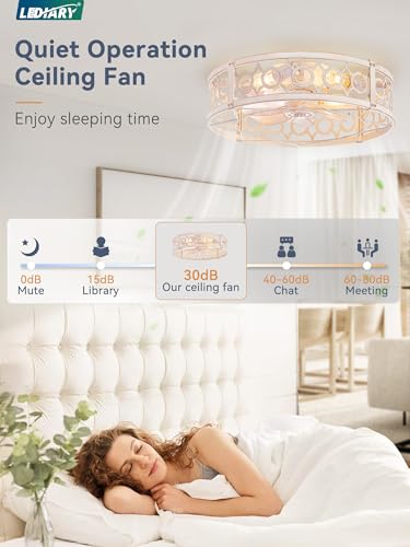 LEDIARY 20in Caged Low Profile Ceiling Fan Light with Remote - White & Gold