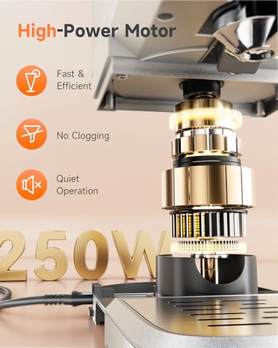 VCK Titanium Gray Cold Press Juicer with 5.12" Wide Feed Chute & High Juice Yield