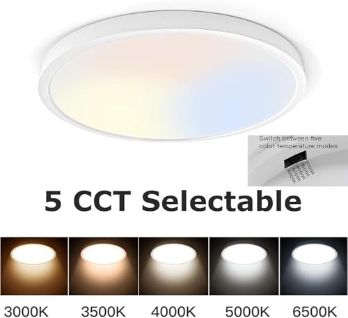 12 Inch LED Flush Mount Ceiling Light Fixture 20W 5CCT White 2 Pack