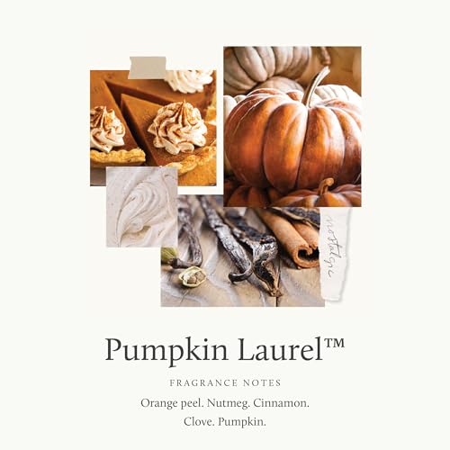 Pumpkin Laurel Scented Candle - Fall Home Decor with Creamy Pumpkin & Spices - 6.5 oz Burnt Orange Glass