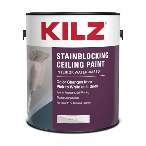 Stainblocking Interior Ceiling Paint - White, 1 Gallon