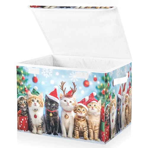 senya Christmas Baskets Collapsible Storage Bins with Lids, Cat A