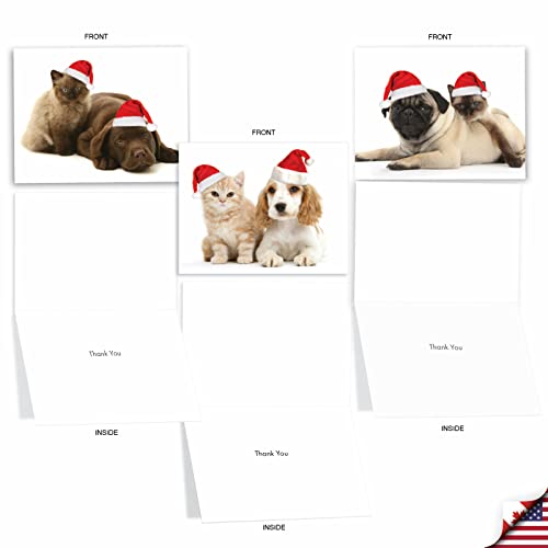 Best Card Co 20 Christmas Thank You Mini Bulk Notecards
