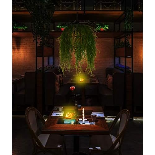 GREENIC Portable Conch Shell Beach Themed Night Light w Timer for Kids Adults Bedroom Nightstand Lamp Nautical Lighting Battery Operated, Warm White