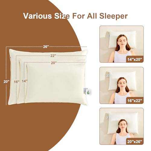 MIOTO Organic Buckwheat Pillow 14x20 Off White with Adjustable Fill & Extra Cover
