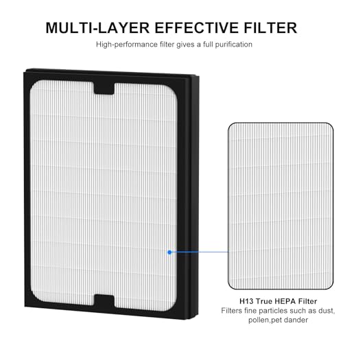 Ganteny Particle Filter Replacement for Blueair 200/300 Series Air Purifiers - 2 Pack, HEPA Filter, Compatible with Models 201-303, Air Cleaner, Vari: Particle Filter