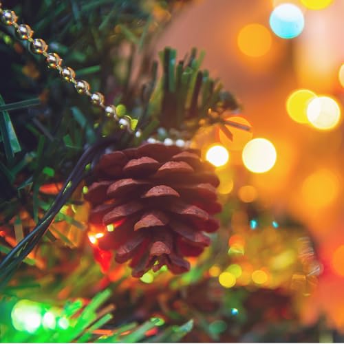 30Pcs Pine Cones for Craft Christmas Rustic Pine Cones with String Fall Garland Decor Christmas Tree Ornaments Winter Vase Filler