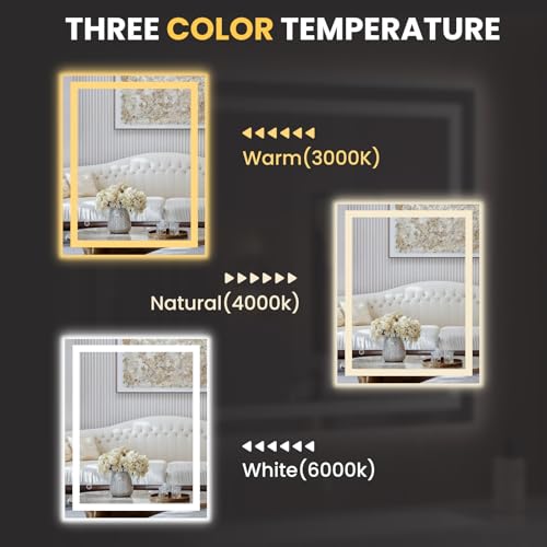LED Bathroom Mirror with Lights 20x28 Inch Dimmable Anti-Fog Double Lighting