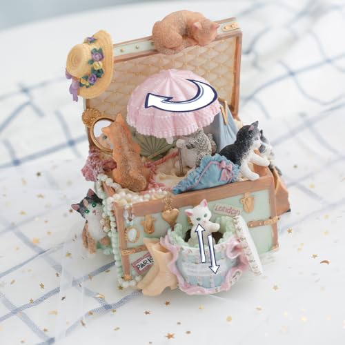 Music Boxes for Girls Women Kids Sister Daughter Christmas Birthday