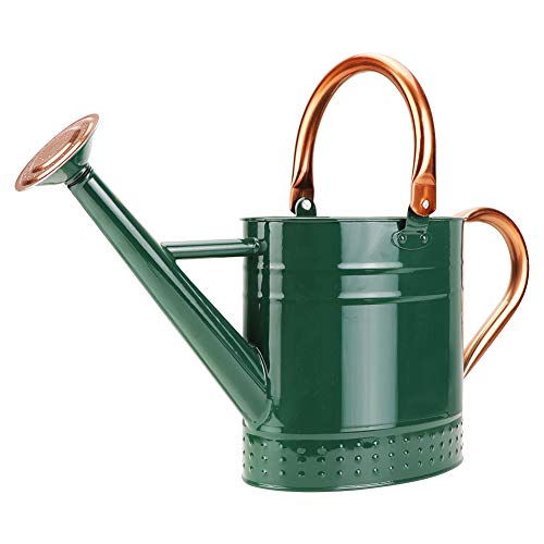 Green 1 Gallon Metal Watering Can with Removable Spout - Galvanized Steel Garden Hand Tool