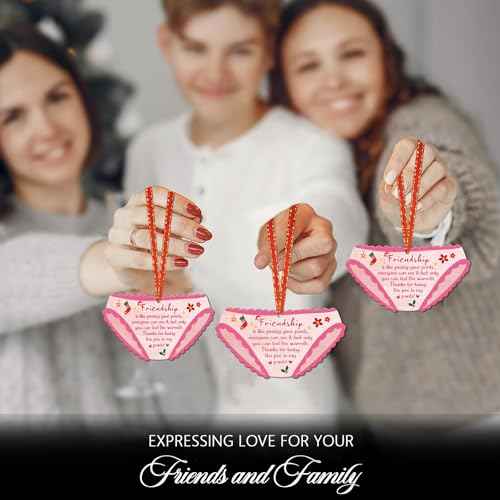 Friendship Christmas Ornament Funny Friends Christmas Ornament for Christmas Tree Funny Friendship Ornament Christmas Decorations Xmas Gifts for Girls Bestie Soul Sister Women Friends (2D)
