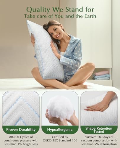Dioris Queen Size Cooling Pillow Set of 2 Blue - Breathable Supportive Bed Pillows