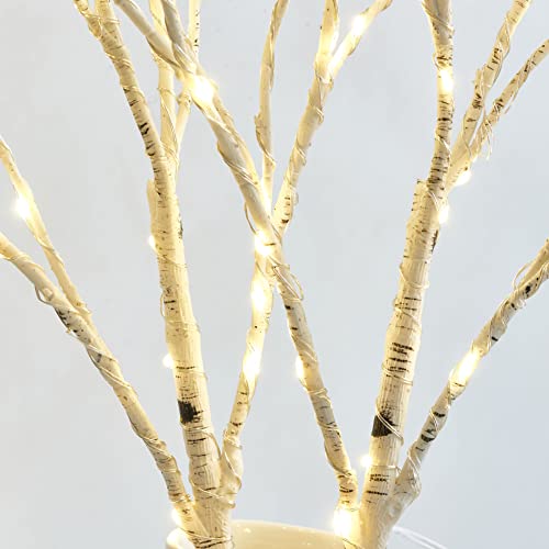 BAOLITVINE White Birch Lighted Branches with Timer 18 Inch for Holiday & Home Decor
