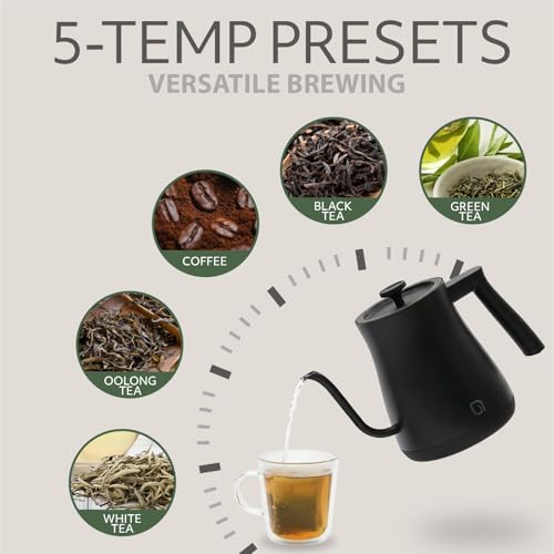WILLOW ECO SERIES 0.8L Black Gooseneck Electric Kettle with 5 Temp Presets & Keep Warm