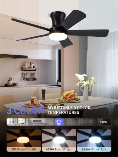 Black 42 Inch Low Profile Ceiling Fan with Light Remote Control