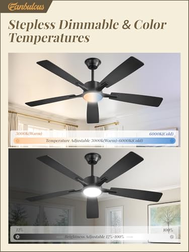Fanbulous 52 Inch Ceiling Fan with Lights Black Remote & App Control