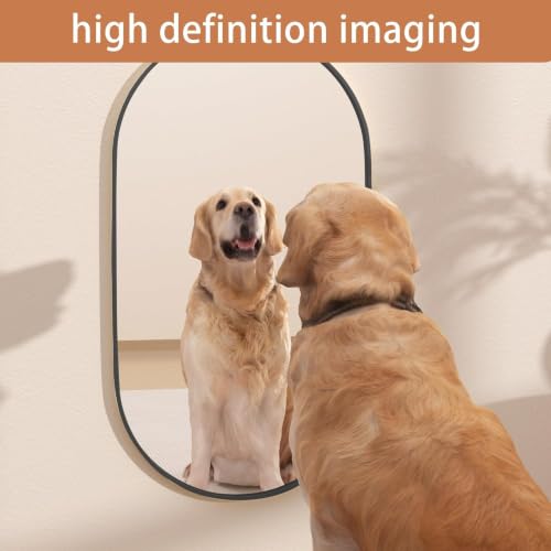 20x28 Inch Black Oval Bathroom Mirror - Wall Mount Wall Mirror with Frame - Modern Vanity & Wall Decor