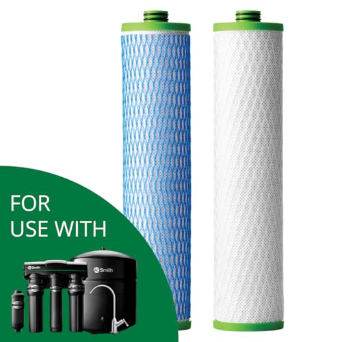 A. O. Smith AO-4000-CARBON Replacement Filter for RO System