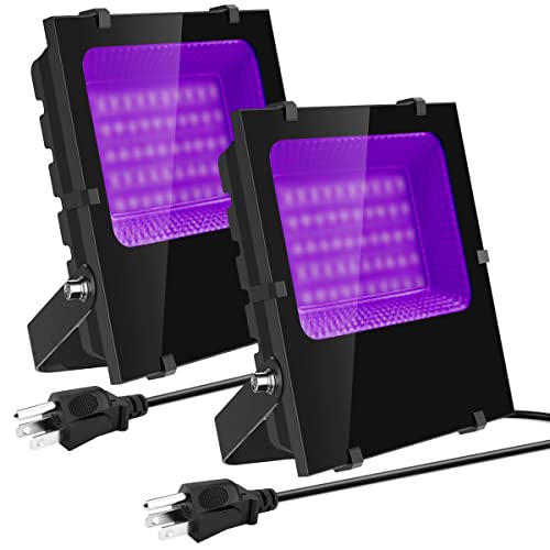 300W Outdoor Black Light Flood Light - High Power UV LED, IP66 Waterproof, 2 Pack