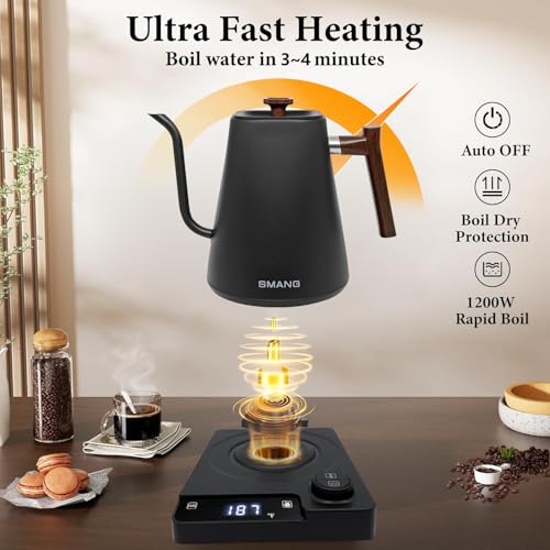 SMANGPER 1L Electric Gooseneck Kettle with Precise Temperature Control