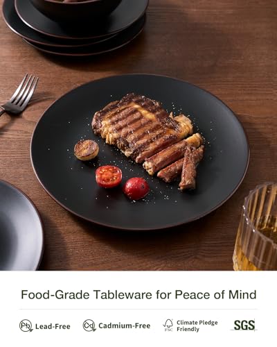 Famiware Black 12-Piece Stoneware Dinnerware Set for 4 - Plates & Bowls