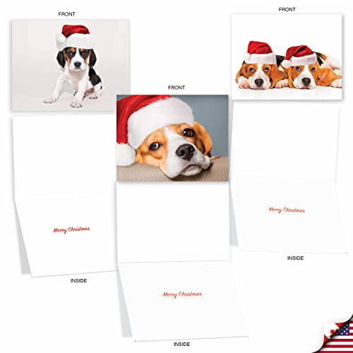 Bouncing Beagles Christmas Notecards – Best Card Co. 20 Assorted 4x5 Cards