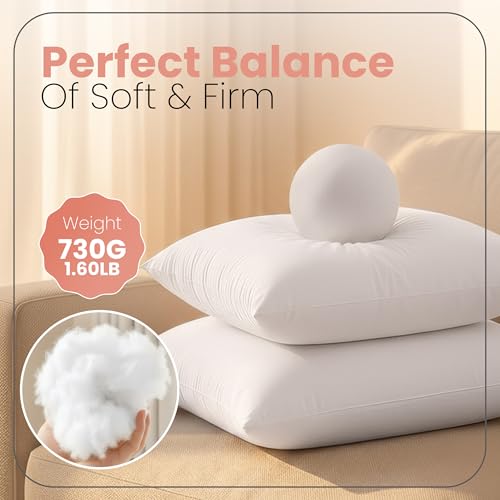 White 22x22 Inch Pillow Inserts - 2 Pack, Supportive & Bounce Back Cushions