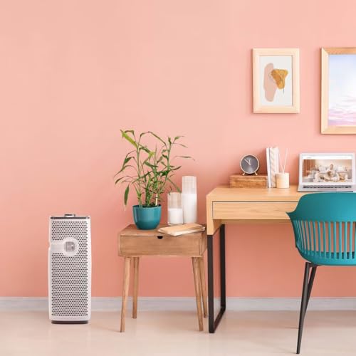 TRUE HEPA AER1 Mini Tower Air Purifier for Up to 164 Sq Ft - Bionaire