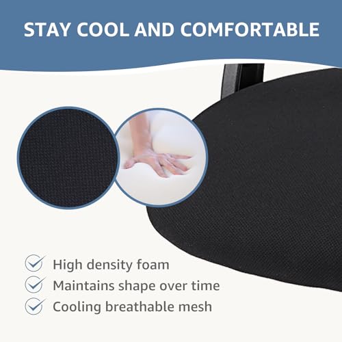 DUMOS Black Ergonomic Office Chair with Lumbar Support & Flip-up Armrests