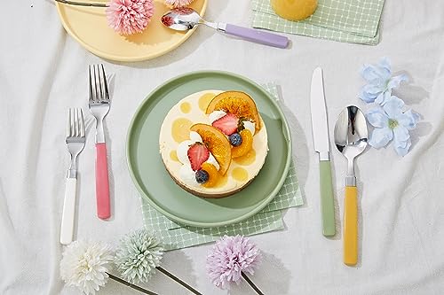 Annova 20-Piece Colorful Stainless Steel Flatware Set for 4 - Mix