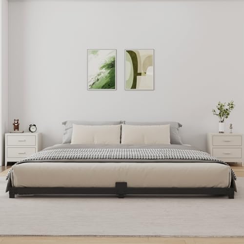 Samhapyrom Queen Size Low Profile Bed Frame 3 Inch Steel Platform, Noise-Free, Heavy Duty