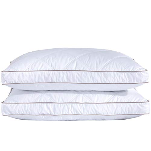 Gusseted Style 1 Goose Feather & Down Pillow Set - Standard/Queen, Pack of 2