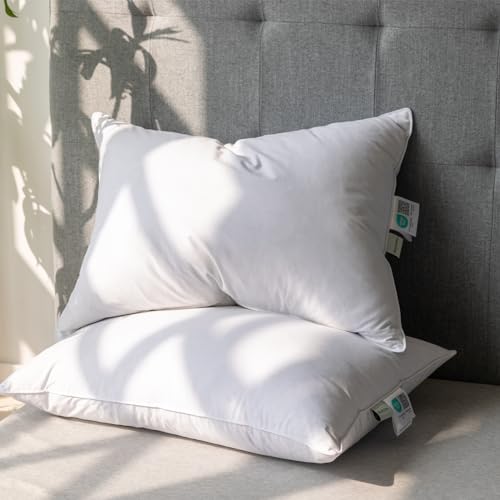 Alanzimo Queen Size Goose Feather Down Pillows Set of 2 20x28 Hotel Collection