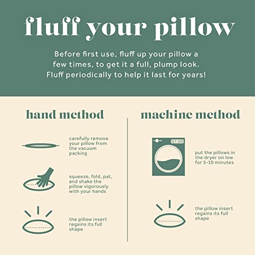 24x24 Throw Pillow Insert - Down Feather Fill, Cotton Cover, Made in USA - Premium Decorative Pillow Form for Sofa & Bed (Variation: 24X24 / 1)
