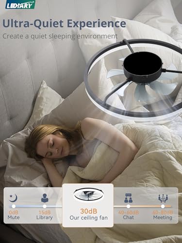 Black 20-Inch Low Profile Ceiling Fan with Lights, APP & Remote Control