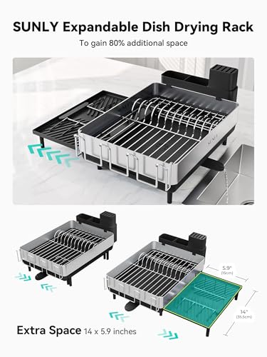 Expandable Dish Drying Rack with Flip-Up Holders - Black + Silver