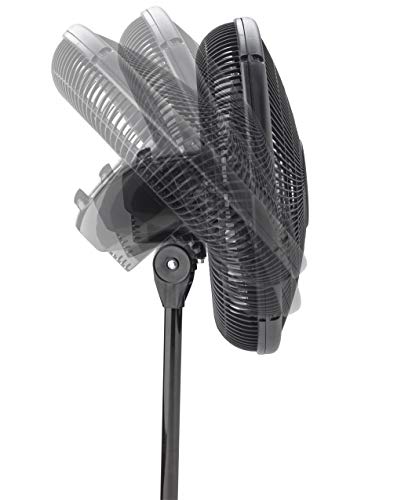 Black 16-Inch Oscillating Pedestal Fan - Adjustable Height & Quiet Operation
