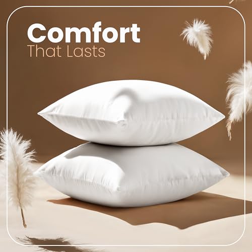 White 22x22 Inch Pillow Inserts - 2 Pack, Supportive & Bounce Back Cushions