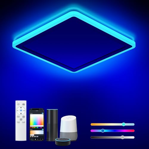1 Pack WiFi RGB LED Ceiling Light - 13 Inch Flush Mount Fixture for Bedroom & Kitchen with Remote