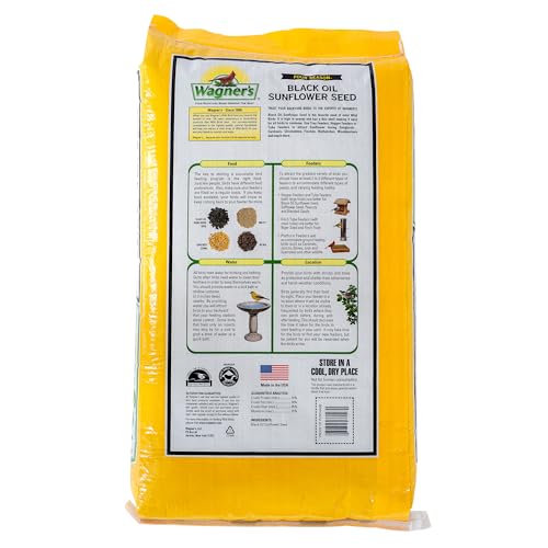 Wild Bird Food Black Oil Sunflower Seeds 25lb Bag - Attracts Songbirds