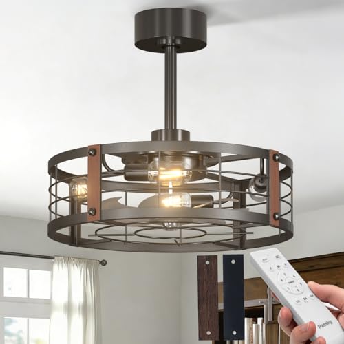 Black 20-Inch Caged Ceiling Fan with Lights and Remote Control