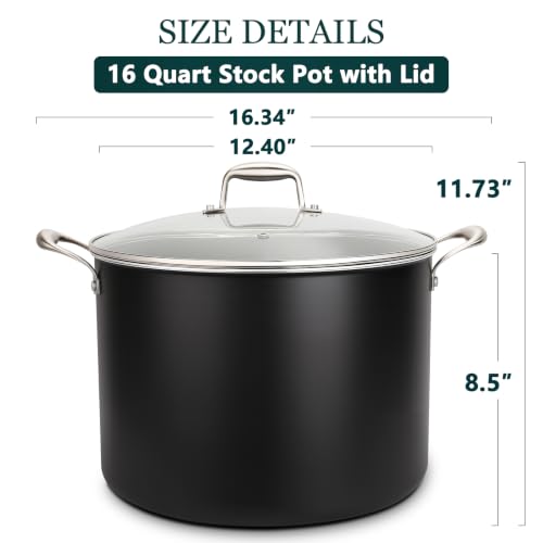 TeakLake 16QT Nonstick Ceramic Stock Pot with Glass Lid & Cool Handles