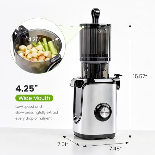 Slow Masticating Juicer with Reverse Function - Silver, 4.25-Inch Feed Chute