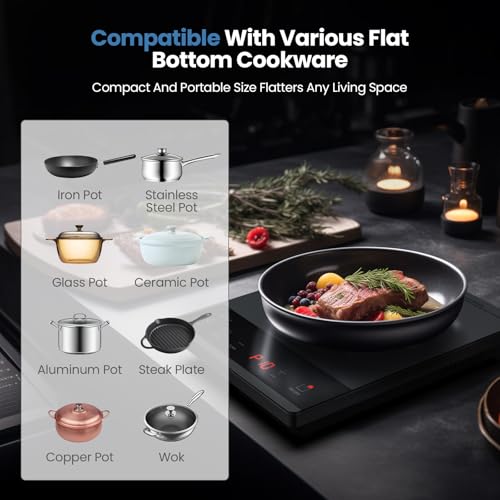 PAYISHO Portable Electric Hot Plate with 10 Power Levels, Timer & Child Lock, 1800W Ceramic Cooktop