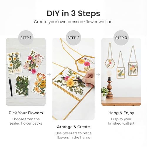 Relaxing Garden Pressed Flower Frame Kit - 3 Hanging Glass Botanical Wall Decor